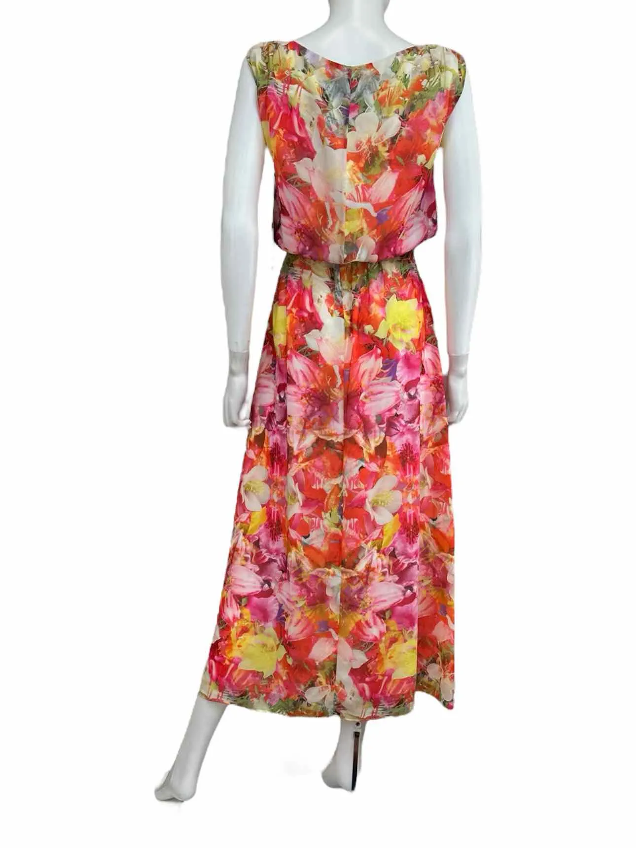VINCE CAMUTO NWT Floral Maxi Dress Size XS